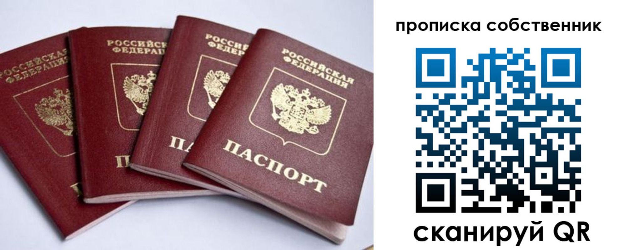 прописка для школы в Светлограде