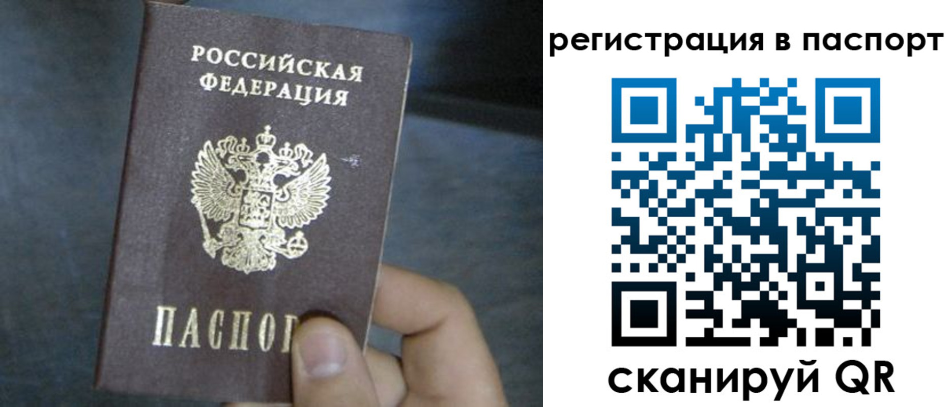 прописка 2025 в Светлограде